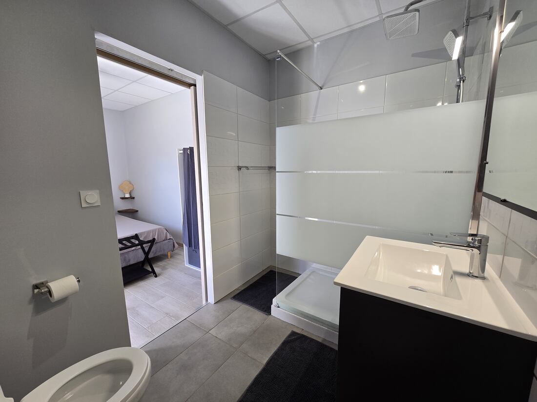 Salle d'eau de la chambre 7 avec douche à l'italienne, WC et vasque