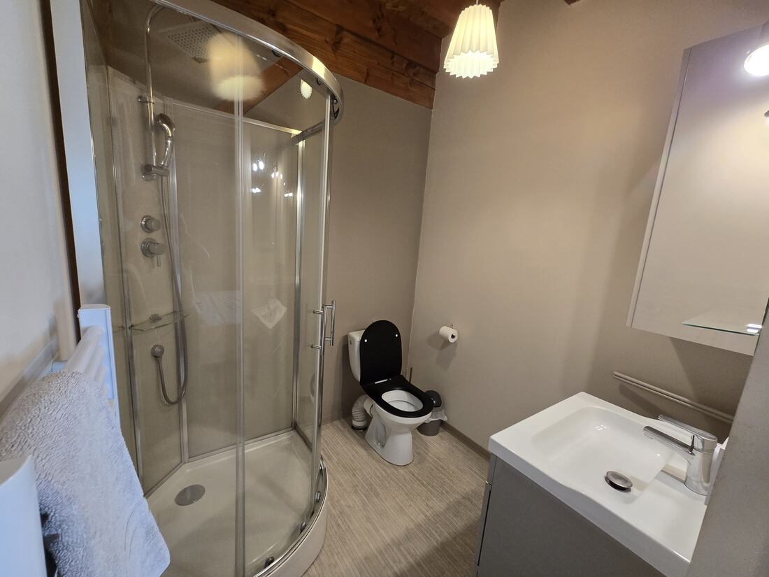 Baño privado con ducha a ras de suelo, inodoro y lavabo